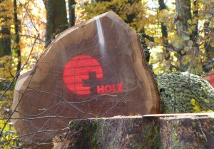 Raurica vermarktet Schweizer Holz im In- und Ausland. Bild: www.rauricawald.ch