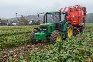 Die Rübenernte auf den Feldern erfolgt unter dem Einsatz teurer Maschinen. Quelle: Schweizer Zucker AG
