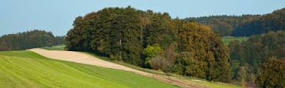 Das Geschäftsgebiet der SLB ist ruhig und beschaulich und vor allem durch die Landwirtschaft geprägt. Quelle: Spar- und Leihkasse Bucheggberg AG