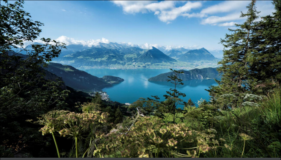 Rigi Bahnen AG: 2018 weiter auf Bergfahrt