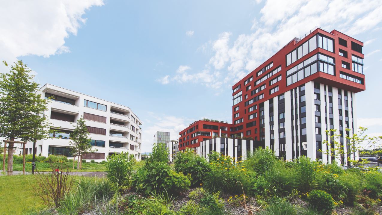 Zug Estates: Immobilienfirma erwartet nach Gewinnsprung auch 2020 ein besseres Ergebnis