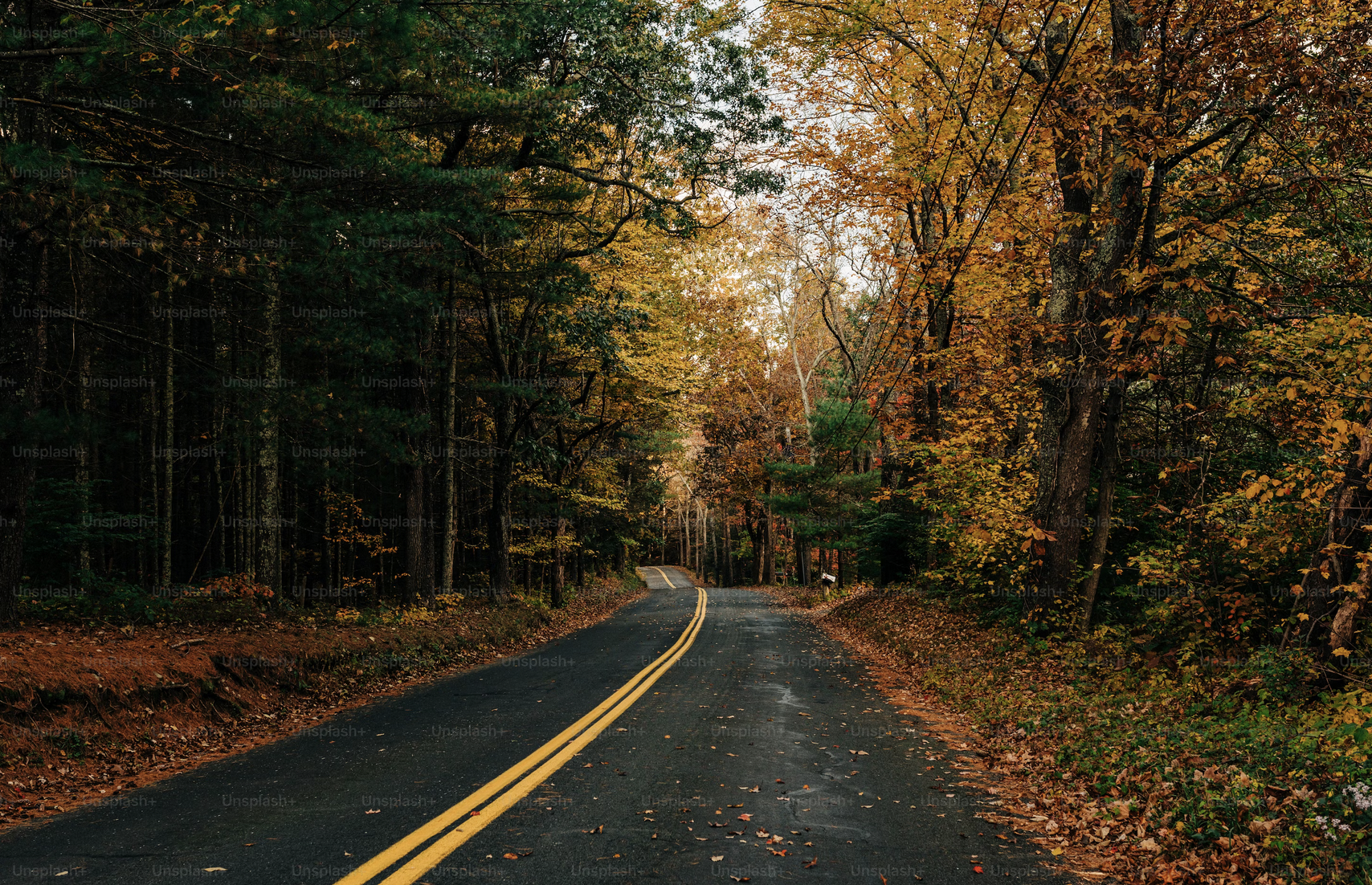 Schweizer Aktien Favoriten 2023: November-Nebel lösen sich auf