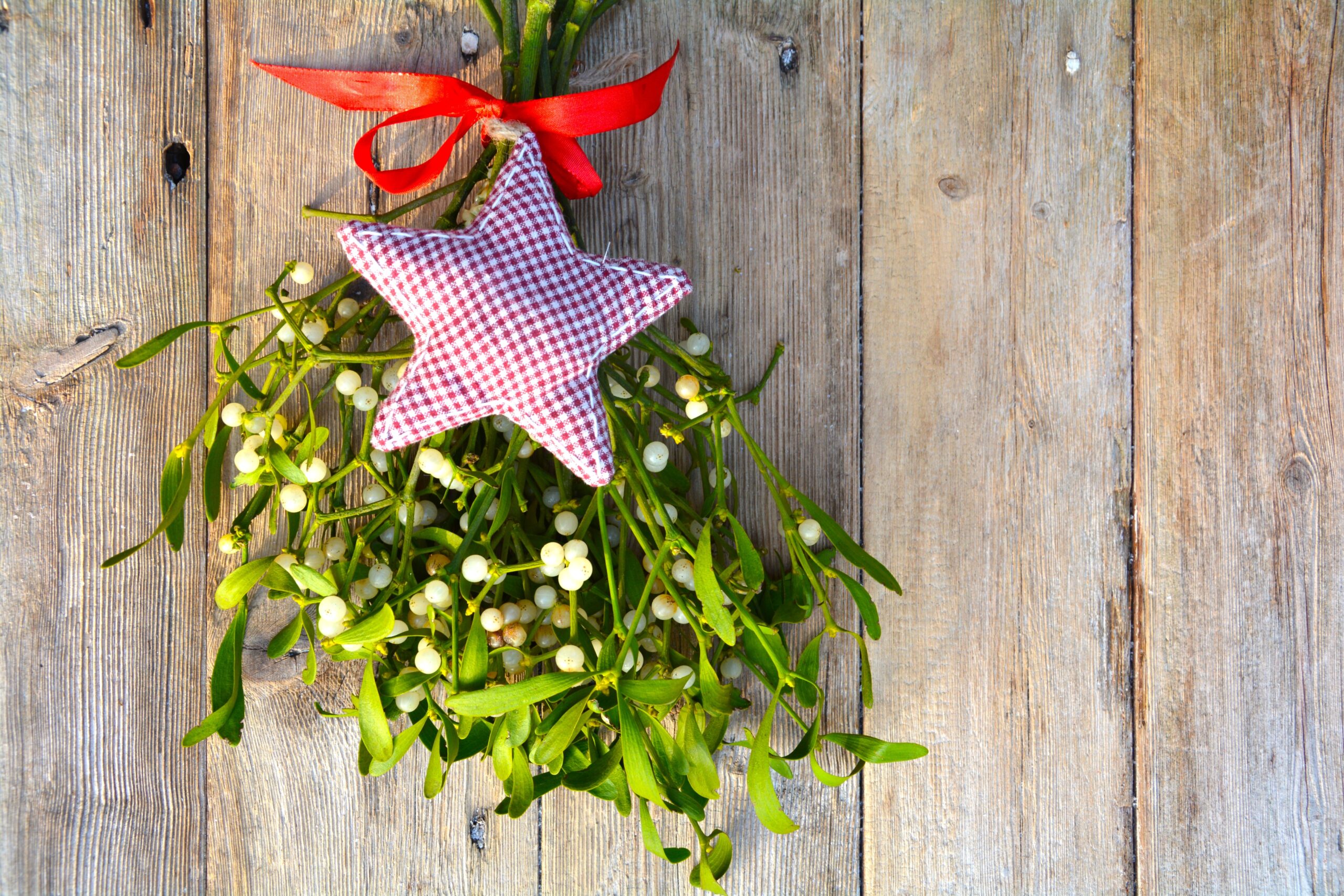 Schweizer Aktien Favoriten 2023: Jahresrückblick