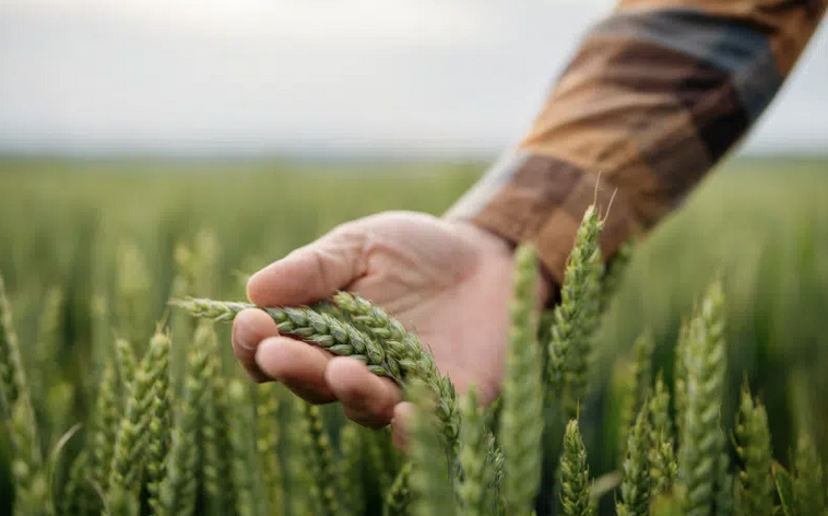 Groupe Minoteries: Aktionärsgruppe fordert höhere Dividende und Auswechslungen im VR