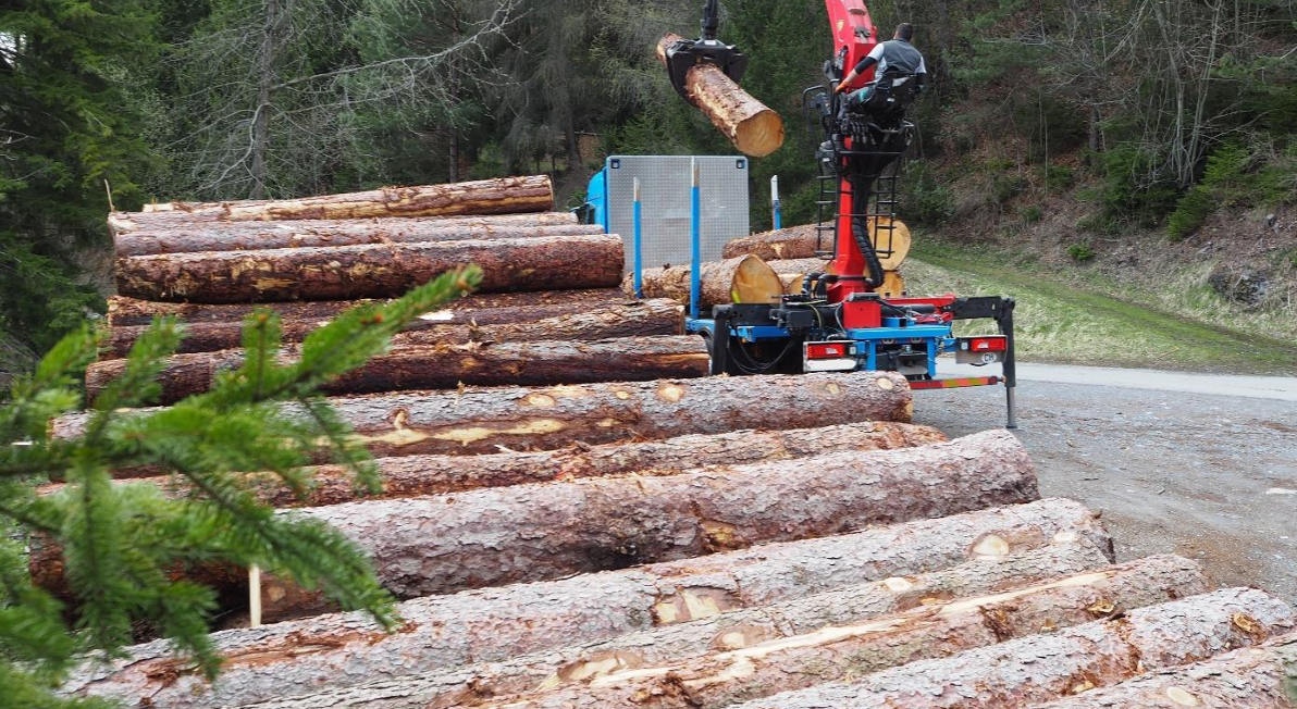 Holzvermarktung Graubünden: Öffnung für Anleger
