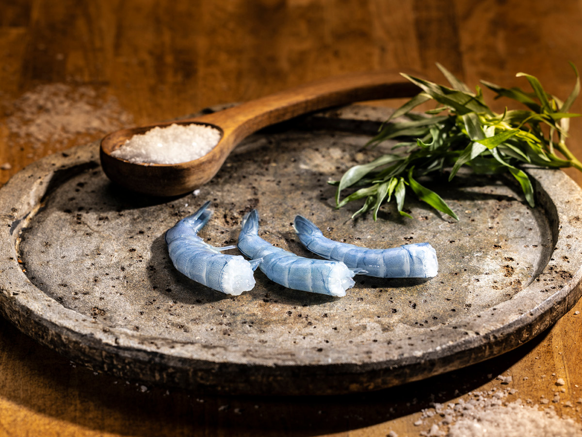 SwissShrimp: Crevettenzüchter aus Rheinfelden setzt neue Standards