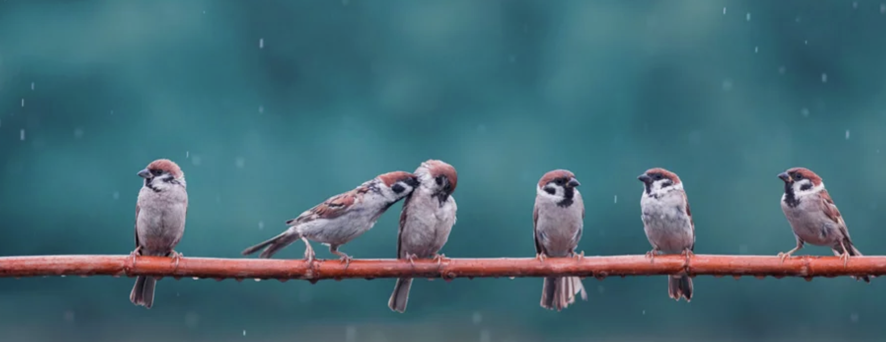 Schweizer Aktien Favoriten 2025: September-Gewitter