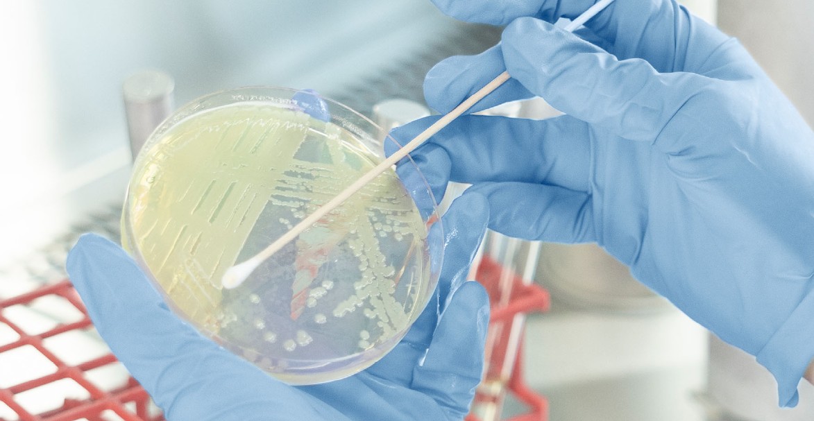 Basilea Pharmaceutica: Innovative Therapien gegen tödliche Bakterien und Pilze