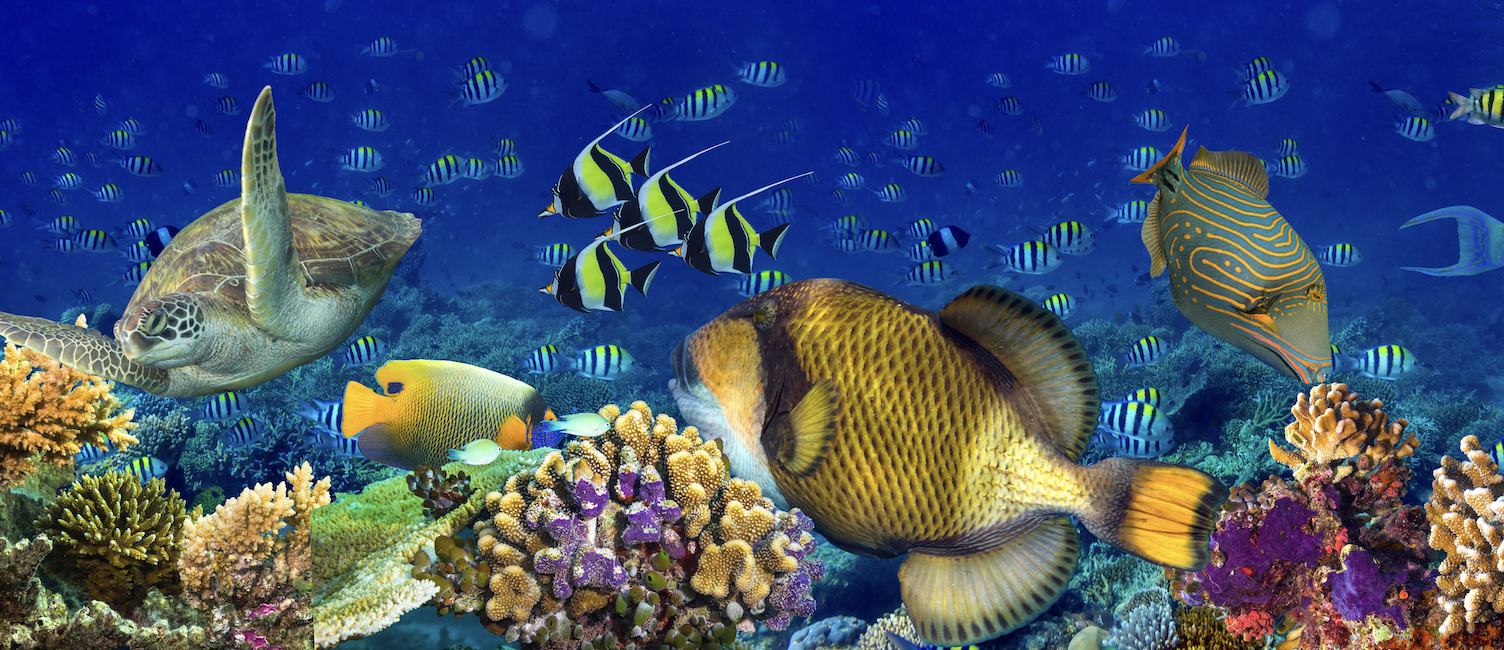 Schweizer Aktien Favoriten 2026: Fünf von 10 Favoriten steigen im Krisenmonat März